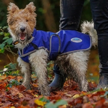 Weaterbeeta ComFiTec Premier Free Parka Deluxe Hundemantel Medium